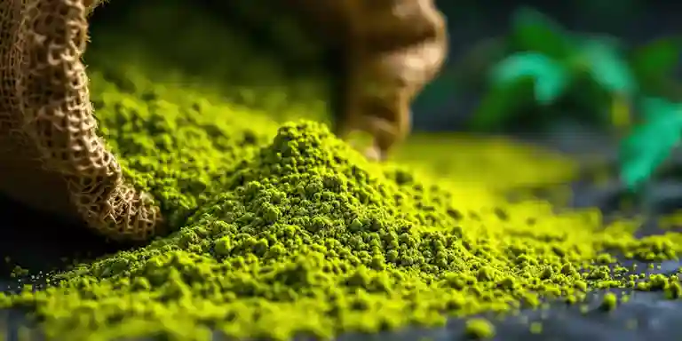DEA Kratom Fact Sheet: Facts vs. Opinions